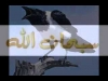 اغرب الغرائب - الشيخ صالح المغامسي